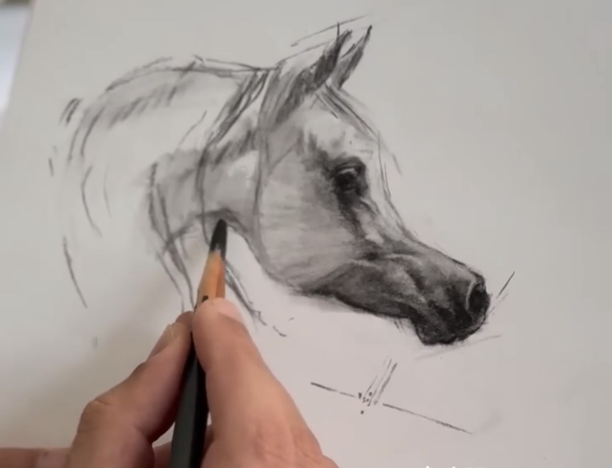 Introduction to Horse Drawing & Clay Sculpture – Level 1 Course